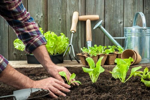 Illustration representing accessible Gardeners Petts Wood website content