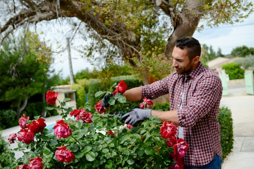 Gardening safety policy introduction for Petts Wood service