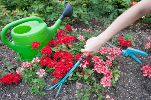 Weed control and border maintenance in a Petts Wood garden
