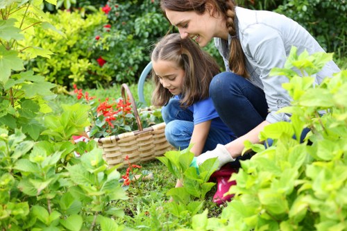 Professional gardening services in a Petts Wood residential garden