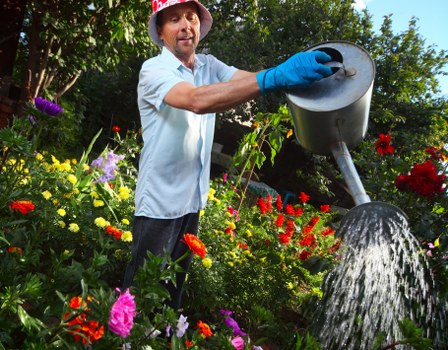 Professional patio cleaning equipment in Petts Wood garden