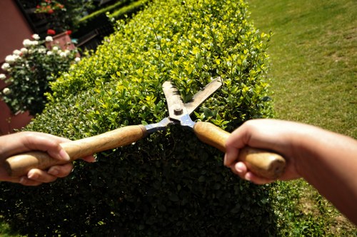 PPE used by gardeners during hedge and lawn maintenance