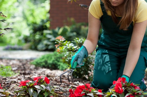 Local gardeners in Petts Wood working on a tidy patio and plants