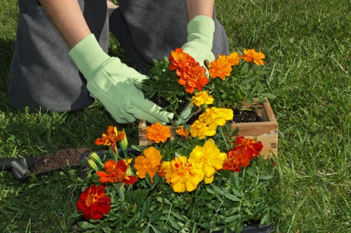 Professional gardening care in Petts Wood