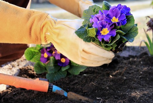 Seasonal planting and outdoor design features in a Petts Wood garden