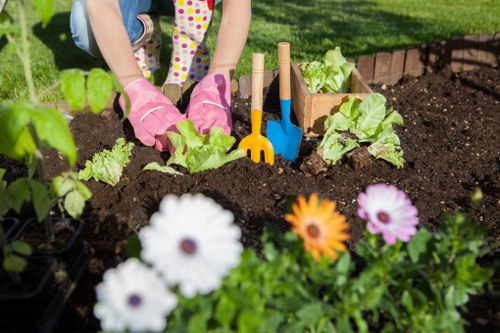 Garden waste removal and tidy-up in Petts Wood