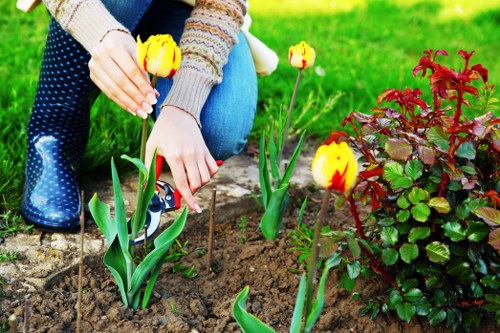 Sustainable gardening and recycling practices in Petts Wood