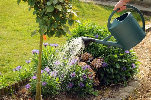 Aeration and overseeding for Petts Wood lawn care