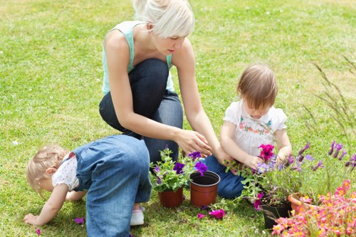 Seasonal lawn maintenance in Petts Wood with grass treatment