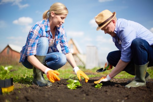 Petts Wood garden care with healthy lawn and borders