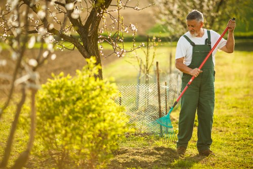 Seasonal planting and pruning in a Petts Wood garden