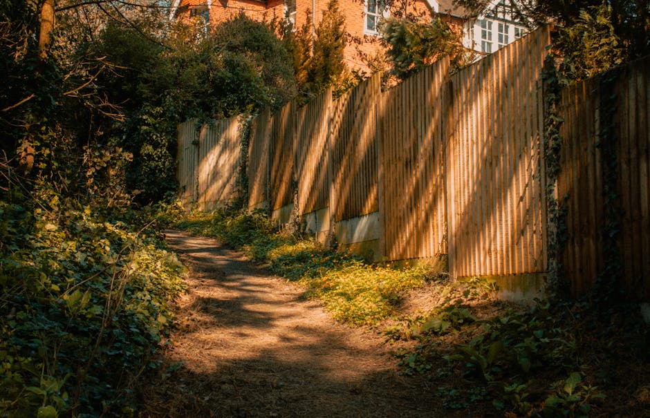 A narrow garden pathway made of compacted soil and small patches of grass runs alongside a tall wooden fence with vertical slats, casting long, curved shadows across the ground. On the left side, dens